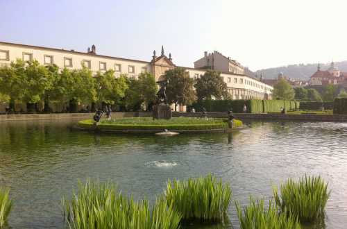 вальдштейнский дворец и сад: павлины с раскрытым хвостом в праге